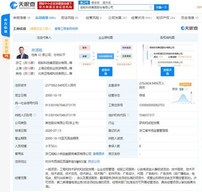 螞蟻集團上市在即，金融信息技術外包助推全球最大規模IPO